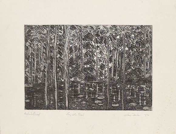 Artist: b'Forbes, Clem.' | Title: b'Eunjella pool.' | Date: 1977 | Technique: b'etching, printed in black ink, from one plate'