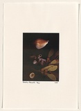 Title: b'Rococo Recollections [20]' | Date: 1995 | Technique: b'electrostatic print, printed from a Canon colour laser copier, from collaged elements'