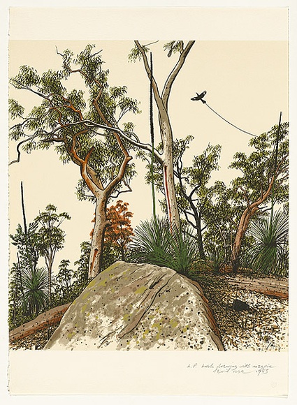 Artist: b'ROSE, David' | Title: b'Bush drawing with magpie' | Date: 1983 | Technique: b'screenprint, printed in colour, from multiple stencils'