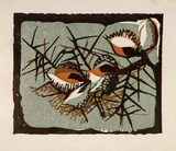 Artist: b'OGILVIE, Helen' | Title: b'Greeting card: Hakea. (Print design as christmas card)' | Date: c.1951 | Technique: b'linocut, printed in colour, from multiple blocks'