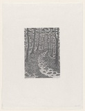 Artist: b'Groblicka, Lidia.' | Title: b'Forest' | Date: 1982 | Technique: b'woodcut, printed in black ink, from one block'