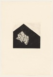 Title: b'Rag' | Date: 1978 | Technique: b'drypoint, printed in black ink, from one perspex plate'