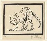 Artist: b'Sellheim, Gert.' | Title: b'Untitled (monkey on all fours)' | Date: 1932 | Technique: b'linocut, printed in black ink, from one block'