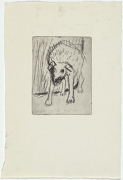 Artist: b'MADDOCK, Bea' | Title: b'(Dog at a gate).' | Date: 1967 | Technique: b'etching, printed in black ink with plate-tone, from one zinc plate'