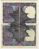 Artist: HALL, Fiona | Title: Acanthus ilicifolius - Sea holly (Indian currency) | Date: 2000 - 2002 | Technique: gouache | Copyright: © Fiona Hall