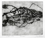 Artist: b'Shepherdson, Gordon.' | Title: b'The Mackerel: Number eleven' | Date: 1979 | Technique: b'etching and aquatint, printed in colour with plate-tone, from one plate'