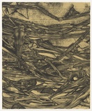 Artist: Burgess, Rachel. | Title: not titled [inverted script and abstracted vegetation]. | Date: 1995 | Technique: lithograph, printed in black ink, from one stone