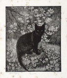 Artist: LINDSAY, Lionel | Title: The witch | Date: 1924 | Technique: wood-engraving, printed in black ink, from one block | Copyright: Courtesy of the National Library of Australia