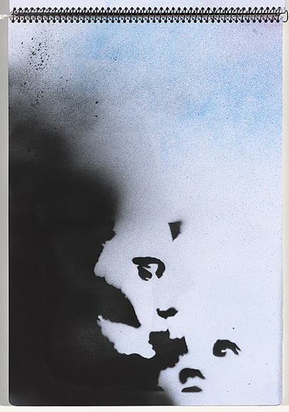 Title: b'Chickenpox' | Date: 2003-2004 | Technique: b'stencil, printed with colour aerosol paint, from multiple stencils'