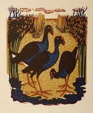 Artist: OGILVIE, Helen | Title: Greeting card: Eastern swamp hen. (Print designed as christmas card) | Date: c.1951 | Technique: linocut, printed in colour, from multiple blocks