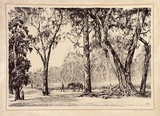 Artist: b'Warner, Alfred Edward.' | Title: b'Droving scene' | Technique: b'lithograph, printed in black ink, from one stone'