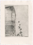 Artist: b'PARR, Mike' | Title: b'Map II.' | Date: 1987 | Technique: b'etching and foul biteing, printed in black ink, from one copper plate'
