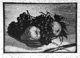 Artist: LINDSAY, Lionel | Title: Fruit piece | Date: 1925 | Technique: wood-engraving, printed in black ink, from one block | Copyright: Courtesy of the National Library of Australia