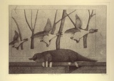 Artist: b'Gatiss, David.' | Title: b'Lindas platypus' | Date: 1982 | Technique: b'photo-etching and aquatint, printed in warm black ink, from one plate'