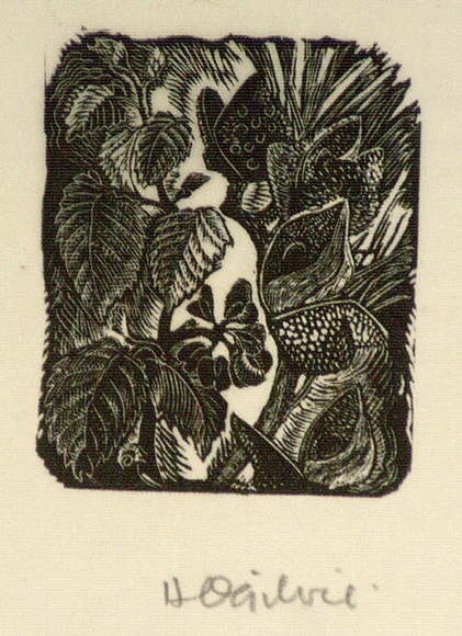 Artist: b'OGILVIE, Helen' | Title: b'not titled [Sprigs of plants-one with leaves, one with pods].' | Date: c.1947 | Technique: b'wood-engraving, printed in black ink, from one block'