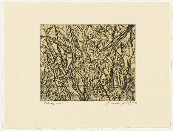 Artist: Senbergs, Jan. | Title: Otway scrub | Date: 1992 | Technique: etching, printed in black ink, from one plate; chine collé | Copyright: © Jan Senbergs
