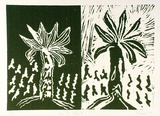 Artist: b'SHEARER, Mitzi' | Title: b'In the forest' | Date: 1977 | Technique: b'linocut, printed in green ink, from two blocks'