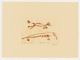 Artist: Napurrula Long, Dora. | Title: Juntu manu - pussy cat | Date: 2004 | Technique: drypoint etching, printed in brown ink, from one perspex plate
