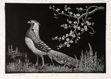 Artist: LINDSAY, Lionel | Title: Spring | Date: 1936 | Technique: wood-engraving, printed in black ink, from one block | Copyright: Courtesy of the National Library of Australia