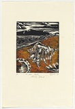 Artist: b'Eglitis, Anna.' | Title: b'Midden shells, Stanley Island.' | Date: 1993 | Technique: b'linocut, printed in black and oragange ink, from one block'