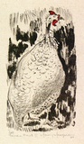 Artist: b'MACQUEEN, Mary' | Title: b'Guinea fowl II' | Date: 1968 | Technique: b'lithograph, printed in colour, from multiple plates' | Copyright: b'Courtesy Paulette Calhoun, for the estate of Mary Macqueen'