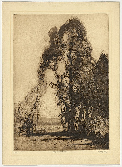 Artist: b'LONG, Sydney' | Title: b'Pastoral softground' | Date: 1918 | Technique: b'softground-etching, printed in brown ink with plate-tone, from one zinc plate' | Copyright: b'Reproduced with the kind permission of the Ophthalmic Research Institute of Australia'