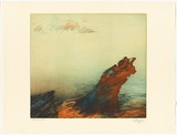 Artist: b'SCHMEISSER, Jorg' | Title: b'Lord Howe Island: nine examples in intaglio' | Date: 1984 | Technique: b'etching, softground  and aquatint, printed in colour, from two plates' | Copyright: b'\xc2\xa9 J\xc3\xb6rg Schmeisser'