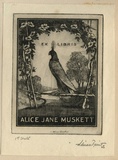 Artist: FEINT, Adrian | Title: Bookplate: Alice Jane Musket. | Date: 1925 | Technique: etching, printed in black ink with plate-tone, from one plate | Copyright: Courtesy the Estate of Adrian Feint