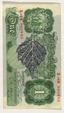 Artist: HALL, Fiona | Title: Betula pendula  - Silver birch (English currency) | Date: 2000 - 2002 | Technique: gouache | Copyright: © Fiona Hall