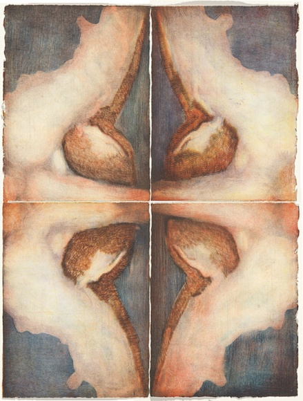 Artist: b'Boccalatte, Suzanne.' | Title: b'Belly II.' | Date: 1995 | Technique: b'colour monotype and drypoint'