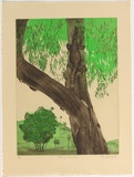 Artist: GRIFFITH, Pamela | Title: Listening goanna | Date: 1981 | Technique: etching, aquatint, soft ground printed in colour from two zinc plates | Copyright: © Pamela Griffith