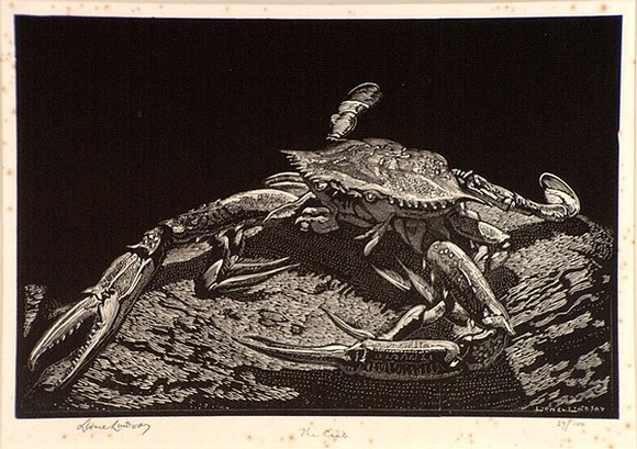 Artist: b'LINDSAY, Lionel' | Title: b'The crab' | Date: 1931 | Technique: b'wood-engraving, printed in black ink, from one block' | Copyright: b'Courtesy of the National Library of Australia'