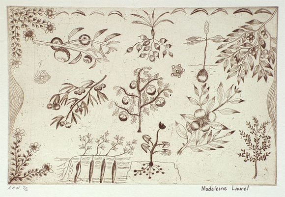 Artist: b'Laurel, Madeleine Yangkana.' | Title: b'Food from different places: from sandhill, from creek, from flatcountry, from river' | Date: 2001, August - September | Technique: b'etching, printed in sepia ink, from one plate'