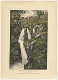 Artist: b'Lycett, Joseph.' | Title: bBeckett's Fall, on the River Apsley, New South Wales | Date: 1825 | Technique: b'etching and aquatint, printed in black ink, from one plate; hand-coloured'