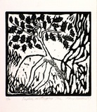 Artist: b'Warren, Guy.' | Title: b'Daphne as Stinging tree.' | Date: 1987 | Technique: b'linocut, printed in black ink, from one block'
