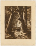Artist: van RAALTE, Henri | Title: Red Gums | Date: 1917-19 | Technique: etching, printed in brown ink, from one plate
