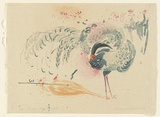 Artist: MACQUEEN, Mary | Title: Chinese silver pheasant | Date: 1968 | Technique: lithograph, printed in colour, from multiple plates | Copyright: Courtesy Paulette Calhoun, for the estate of Mary Macqueen