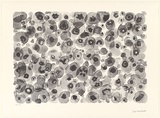 Artist: b'Huddleston, Joyce.' | Title: b'not titled (abstraction of flowers)' | Date: 2000, November | Technique: b'lithograph, printed in black ink, from one aluminium plate'