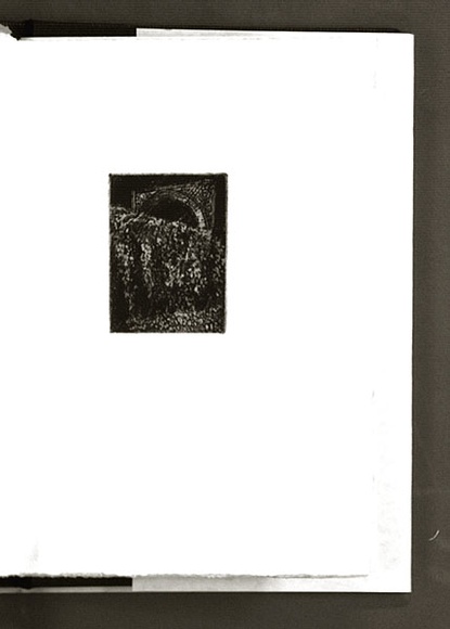 Artist: b'Forsyth, Christine.' | Title: b'not titled.' | Date: 1986 | Technique: b'etching, printed in black ink, from one plate'