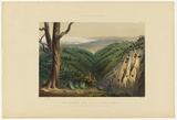 Artist: ANGAS, George French | Title: View from Mount Lofty, looking over the plains of Adelaide. | Date: 1846-47 | Technique: lithograph, printed in colour, from multiple stones; varnish highlights by brush