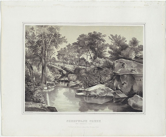 Artist: b'Cogne, Francois.' | Title: b'Sheepwash creek.' | Date: 1863-64 | Technique: b'lithograph, printed in colour, from two stones'