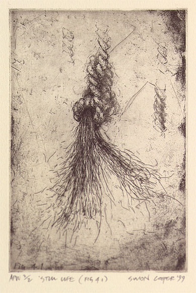 Artist: b'Cooper, Simon.' | Title: b'Still life (fig. 4.1)' | Date: 1999, February | Technique: b'etching, printed in black ink, from one plate'