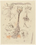Artist: b'MACQUEEN, Mary' | Title: b'Ostrich' | Date: 1975 | Technique: b'lithograph, printed in colour on recto and verso, from multiple plates' | Copyright: b'Courtesy Paulette Calhoun, for the estate of Mary Macqueen'