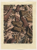 Artist: b'Bruderlin, Christine.' | Title: b'Ground at Rainbow Valley II.' | Date: 1995 | Technique: b'linocut, printed in black ink, from one block; hand-coloured'