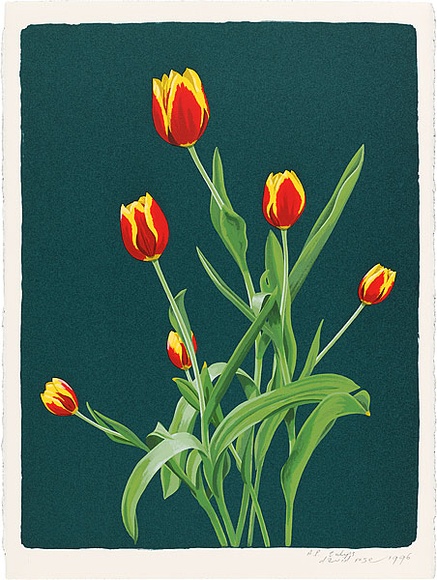 Artist: b'Rose, David.' | Title: b'Tulips' | Date: 1996 | Technique: b'screenprint, printed in colour, from multiple screens'