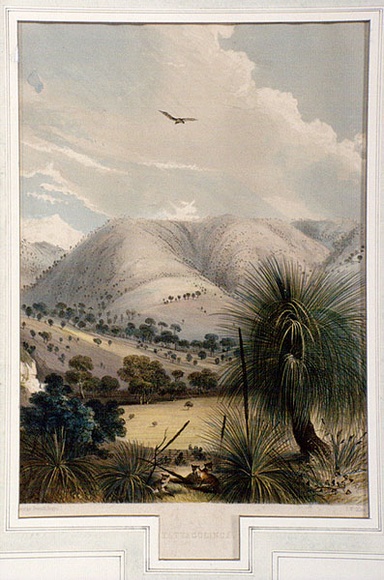 Artist: b'Angas, George French.' | Title: b'Yattagolinga.' | Date: 1846-47 | Technique: b'lithograph, printed in colour, from multiple stones; varnish highlights by brush'