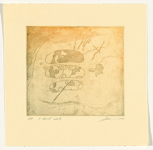 Artist: b'Mellor, Danie.' | Title: b'3 shield walk' | Date: 2001 | Technique: b'etching, printed in colour, from one plate'