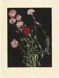 Artist: b'GRIFFITH, Pamela' | Title: b'The Red Carnation' | Date: 1988 | Technique: b'hardground-etching and aquatint, printed in colour, from two copper plates' | Copyright: b'\xc2\xa9 Pamela Griffith'