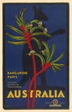 Artist: b'TROMPF, Percy' | Title: b'Kangaroo Paws, Western Australian Wildflowers, Australia.' | Date: (1930s) | Technique: b'lithograph, printed in colour, from multiple stones'