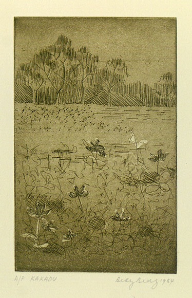 Artist: BRAY, Betty | Title: Kakadu. | Date: 1984 | Technique: aquatint, etching, roulette printed in green ink, from one copper/plate